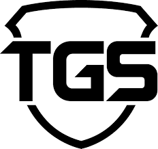 TGS Esports Announces Intent to Acquire Canadian Esports and Digital Media  Startup, Volcanic Media