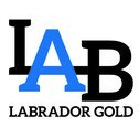 This image has an empty alt attribute; its file name is LAB-square-logo-2.png