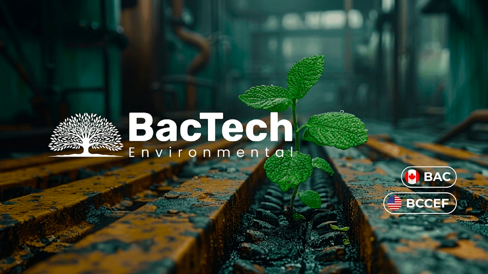 From Toxic Waste to Valuable Resources: BacTech Environmental Is Rewriting the Future of Mining BAC