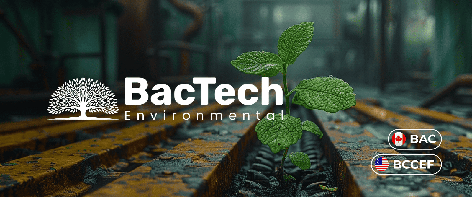 Web_banners_BAC_1_optimized_750